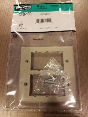 CBIG-2G Panduit Gray Wall Plate
